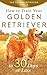 Golden Retriever: How to Tr...
