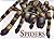 Spiders Scorpions & Creepy ...