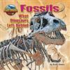 Fossils: What Dinosaurs Left