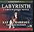 Labyrinth (Greywalker, #5)