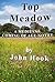 Top Meadow by John Hook