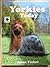 YORKIES TODAY