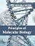Principles Of Molecular Biology, 2/Ed - Pb