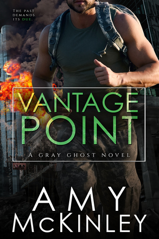 Vantage Point (Gray Ghost, #4)