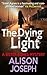 The Dying Light (Sister Agnes Series)