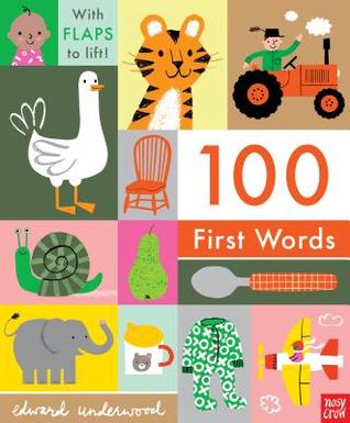 100 First Words: With Flaps to Lift (Board Book)