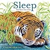 Sleep by Kate Prendergast