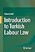Introduction to Turkish Labour Law by Tankut Centel