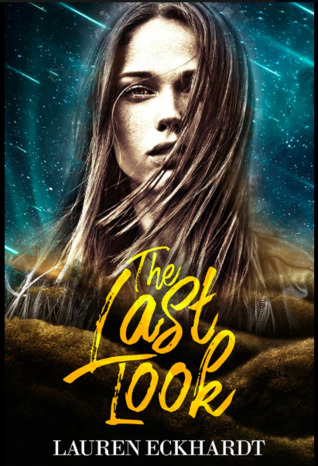 The Last Look (Kindle Edition)