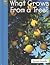 What Grows from a Tree? (Yellow Umbrella Books: Science)