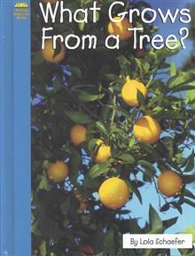 What Grows from a Tree? (Yellow Umbrella Books: Science)