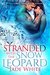 Stranded With The Snow Leopard