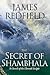 The Secret of Shambhala: In Search of the Eleventh Insight (Celestine Prophecy, #3)