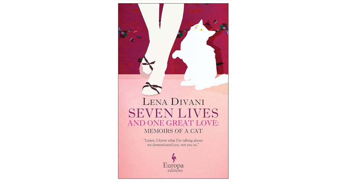 cat seven lives