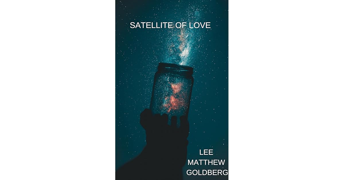 Satellite of Love by Lee Matthew Goldberg