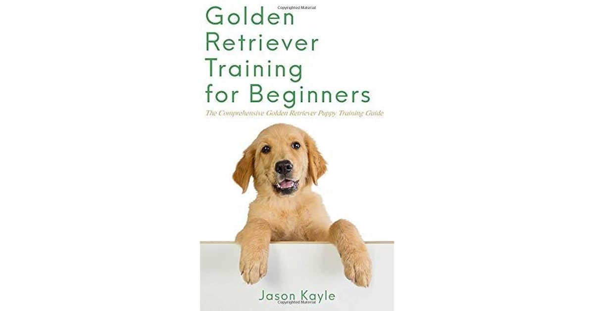 Golden Retriever Training For Beginners The Comprehensive Golden