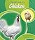 The Life Cycle of a Chicken (Life Cycles)