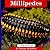 Millipedes (Life Cycles)