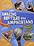 Amazing Reptiles and Amphibians (Amazing Life Cycles)