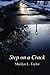 Step on a Crack by Marilyn L. Taylor