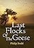 Last Flocks of the Geese