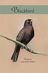 Blackbird Blackbird