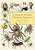 Common Spiders of North America