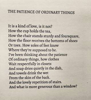 The Patience of Ordinary Things
