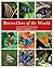 Butterflies of the world