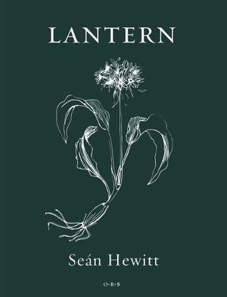 Lantern (Paperback)