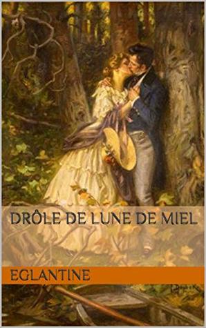 Drôle de lune de miel (Kindle Edition)