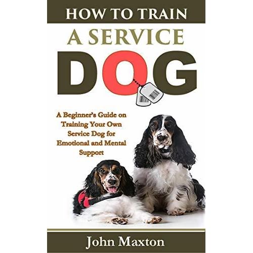 training your service dog