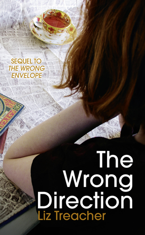 The Wrong Direction (Kindle Edition)