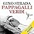 Pappagalli verdi. Cronache di un chirurgo di guerra