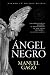 Ángel negro (Ficción)