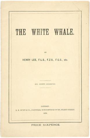 The White Whale
