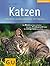Katzen. Glücklich zusammenl...
