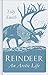 Reindeer by Tilly Smith