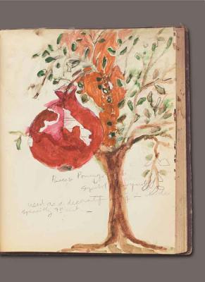 Anna Boghiguian (Paperback)