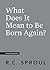 What Does It Mean to Be Born Again? (Crucial Questions)