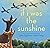 If I Was the Sunshine