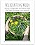 Wildcrafting Weeds: 20 Easy...