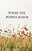 Where the Poppies Bloom by Fatmire Gjonbalaj