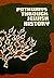 Pathways through Jewish His...