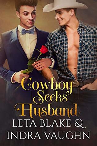 Cowboy Seeks Husband (ebook)