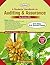 Padhuka's A Students' Handbook on Auditing & Assurance. For CA Inter IPC