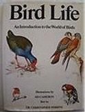 Bird life: An introduction to the world of birds (Hardcover)