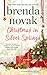 Christmas in Silver Springs (Silver Springs, #6)