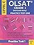 OLSAT Grade 2 (3rd Grade En...
