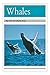 Whales